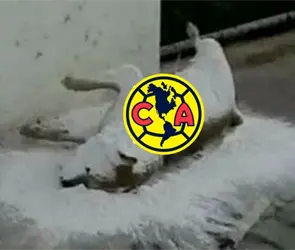 ¡A llorar, Águilas! Los mejores memes del América vs Rayados