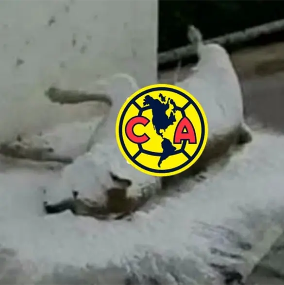 ¡A llorar, Águilas! Los mejores memes del América vs Rayados