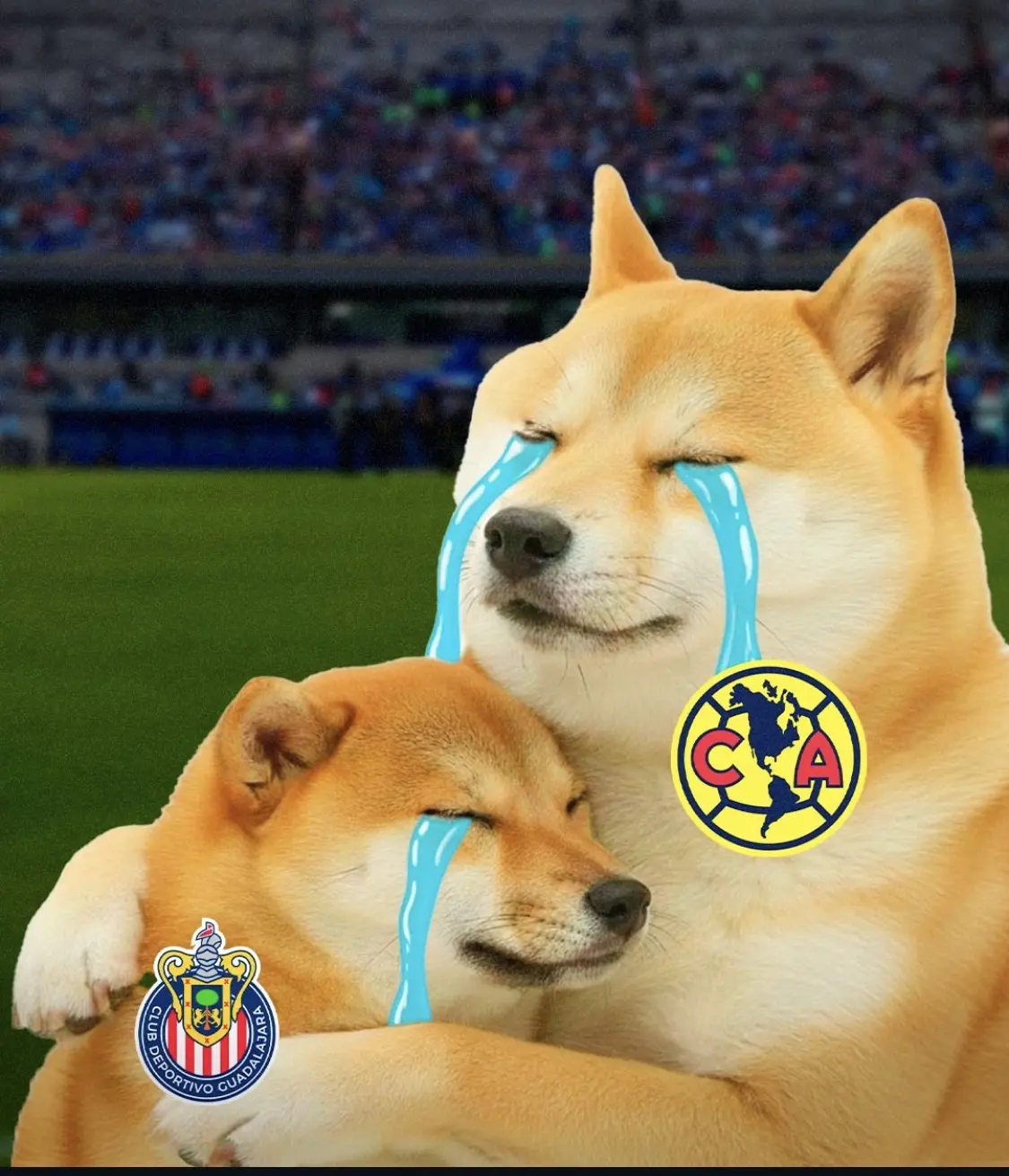 Chivas y América eliminados