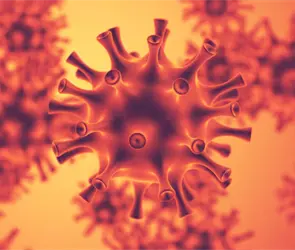 Nueva gripe H3N2: lo que debes saber Nueva gripe H3N2: lo que debes saber