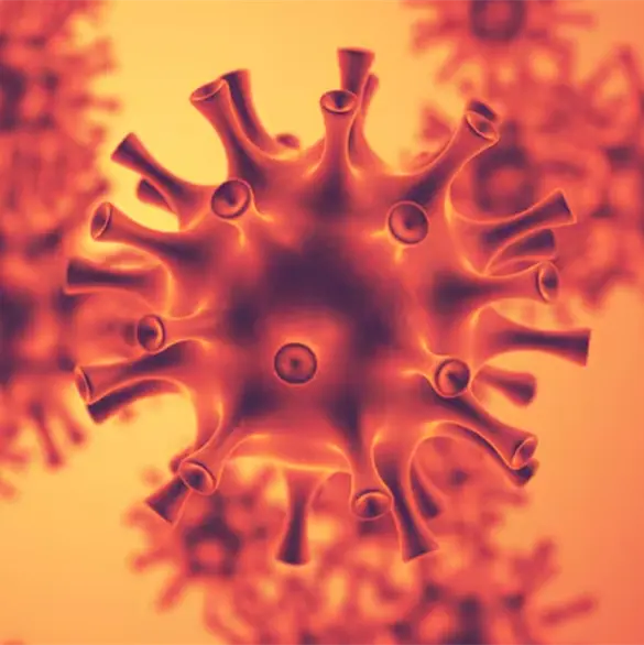 Nueva gripe H3N2: lo que debes saber Nueva gripe H3N2: lo que debes saber