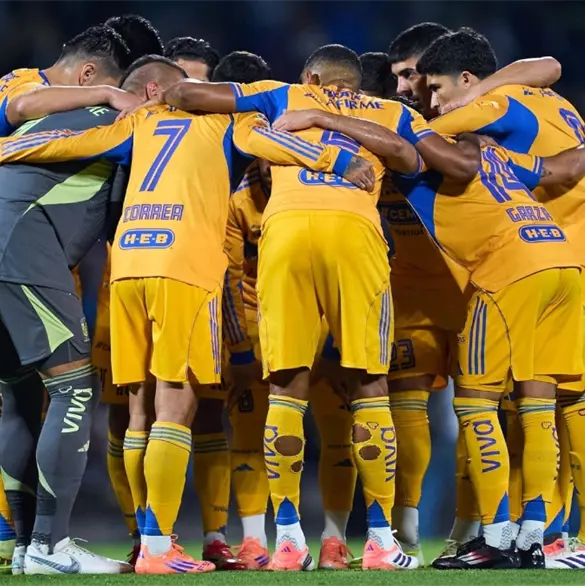 Tigres olvida a una de sus estrellas en Monterrey y será baja del club Tigres olvida a una de sus estrellas en Monterrey y será baja del club