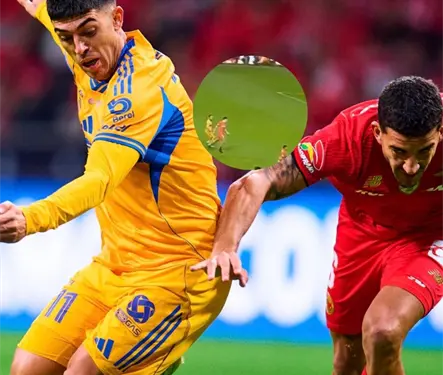 Se calentaron, la reacci&oacute;n de Tigres tras el penal de la victoria de Toluca