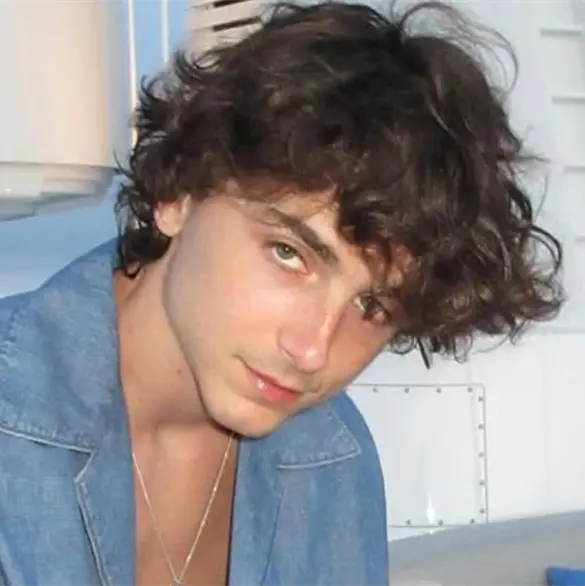 Timoth&eacute;e Chalamet colabora con EsDeeKid y desmiente rumores