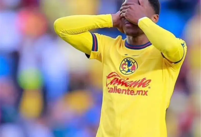 P&eacute;rdidas millonarias en Am&eacute;rica por Javairo