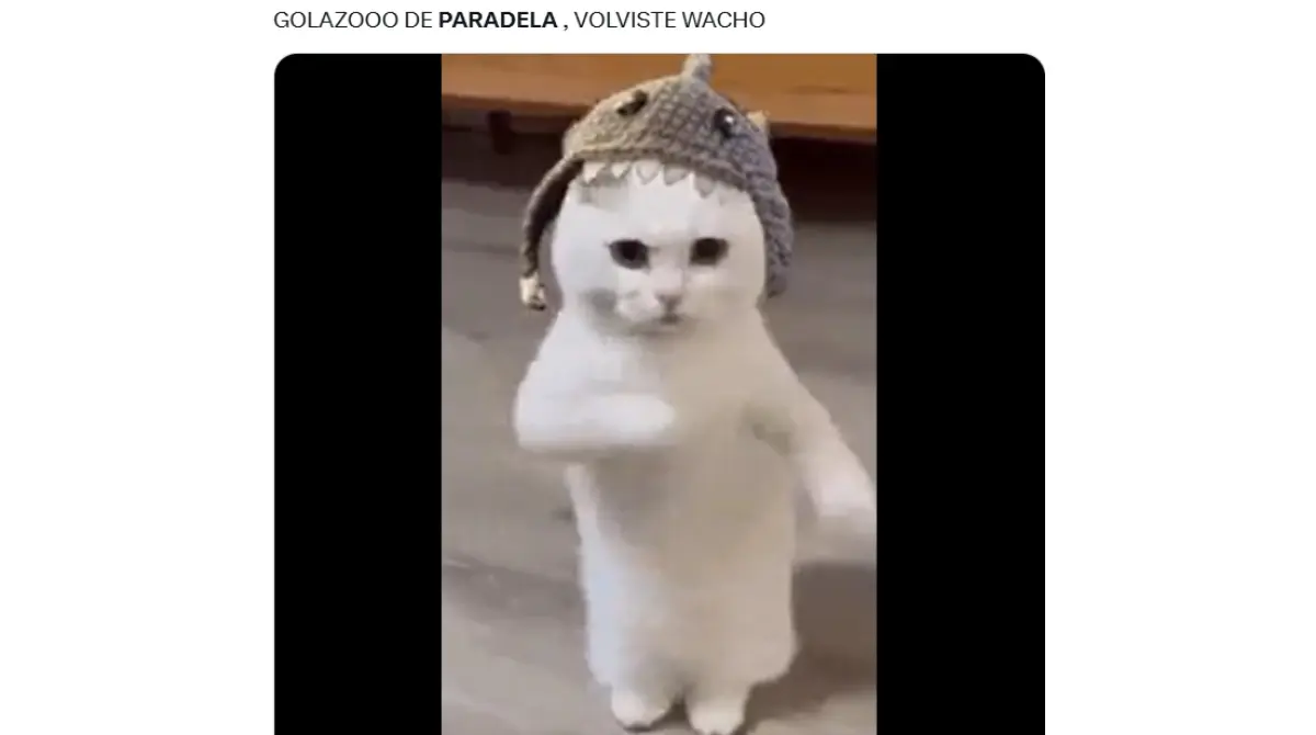 Y despu&eacute;s de que Paradela anot&oacute; un golazo de tiro libre&nbsp;