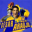 La garra charr&uacute;a lleg&oacute; a San Nicol&aacute;s: C&eacute;sar Ara&uacute;jo ya es Tigre