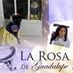 Los mejores memes que nos ha dejado La Rosa de Guadalupe