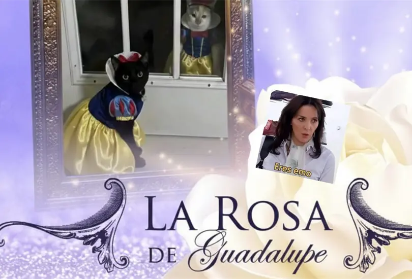 Los mejores memes de La Rosa de Guadalupe.