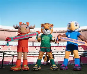 Le&ntilde;a del &aacute;rbol ca&iacute;do: Otra ciudad pide los partidos mundialistas del Akron