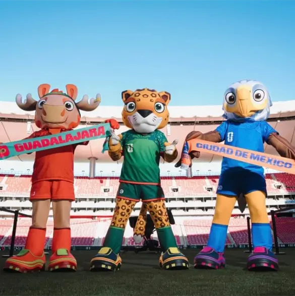 Le&ntilde;a del &aacute;rbol ca&iacute;do: Otra ciudad pide los partidos mundialistas del Akron