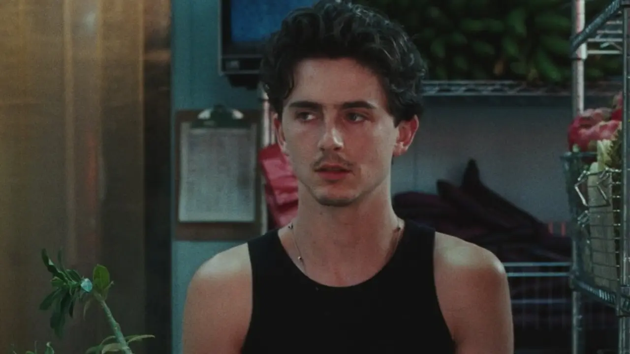  Timothée Chalamet 