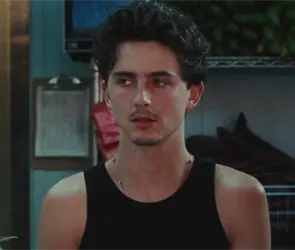 Timoth&eacute;e Chalamet en W Magazine: el personaje que cre&oacute; con Josh Safdie