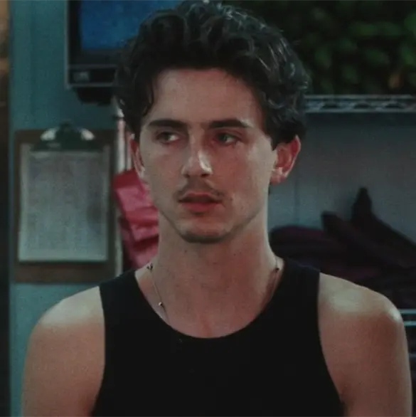 Timothée Chalamet en W Magazine: el personaje que creó con Josh Safdie