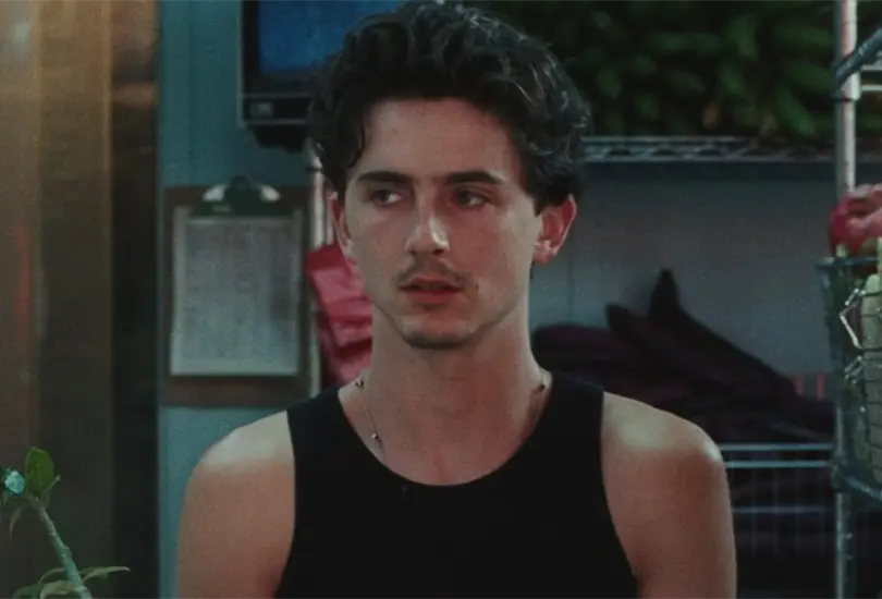 Timoth&eacute;e Chalamet