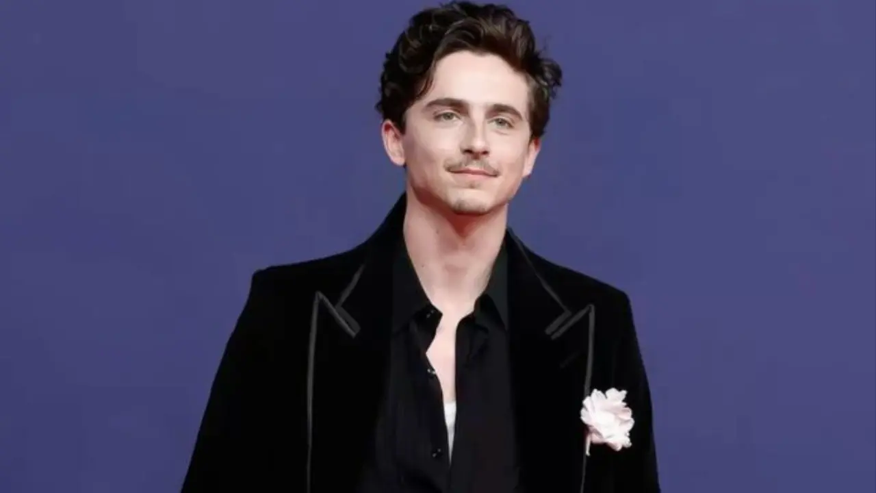  Timothée Chalamet 