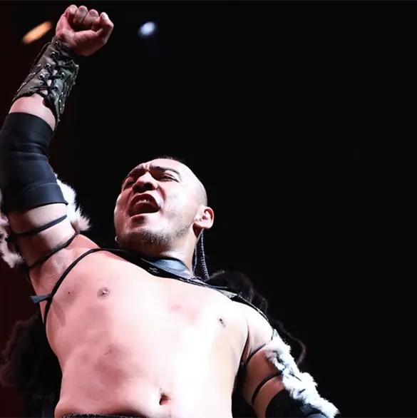 El Hijo del Vikingo dar&iacute;a el salto a WWE y dejar&iacute;a AAA