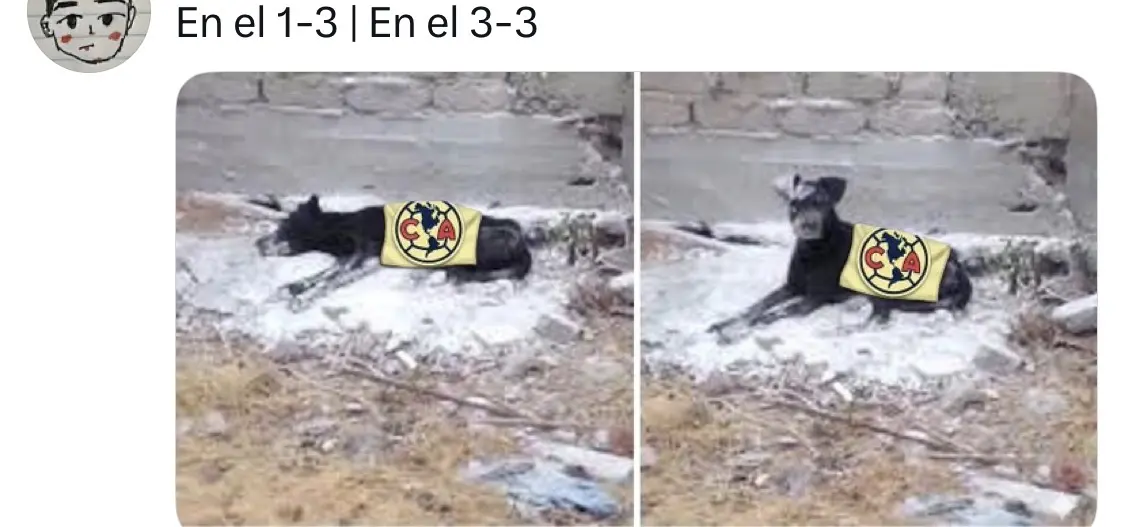 El Am&eacute;rica revivio