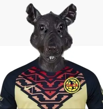 As&iacute; ven muchos al Amee