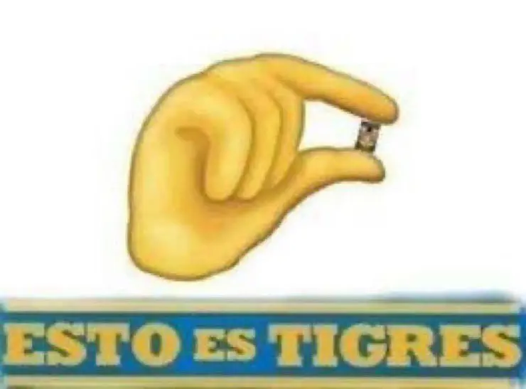 Ser&aacute; que es verdad que los Tigres son los Chiquitines