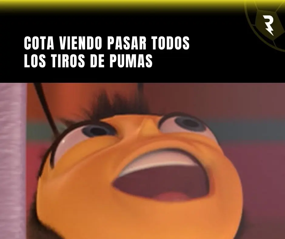 Cota veía pasar los tiros