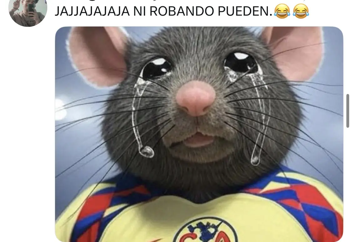 Robaron y no pudieron