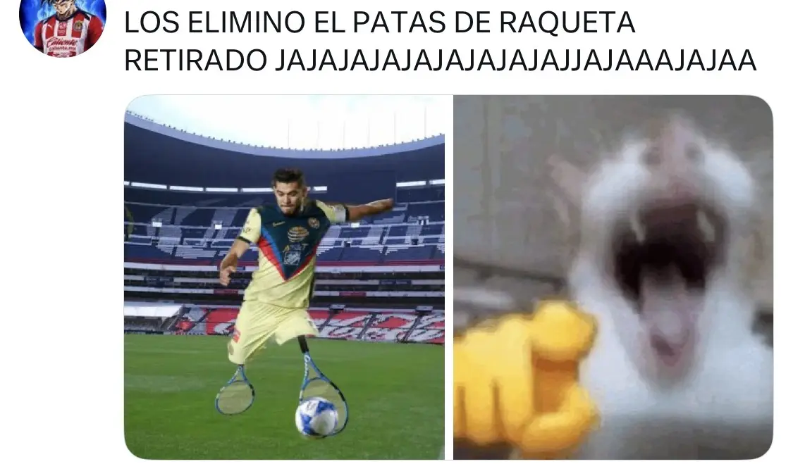 Pies de raqueta