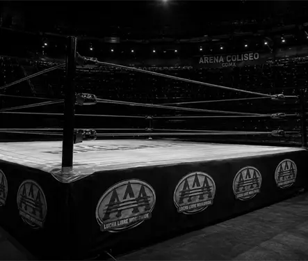 Sentencian a ex luchador de la AAA y CMLL a 12 a&ntilde;os de prisi&oacute;n
