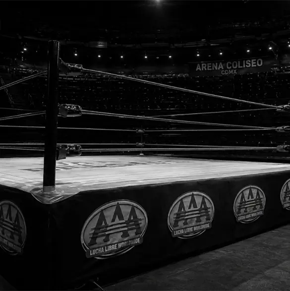 Sentencian a ex luchador de la AAA y CMLL a 12 a&ntilde;os de prisi&oacute;n
