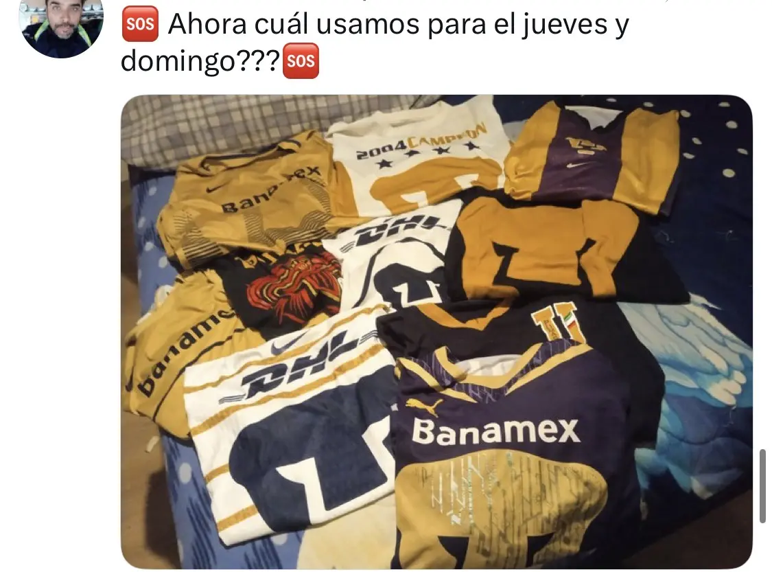 ¿Cuál usar? ¿Cuál usar?