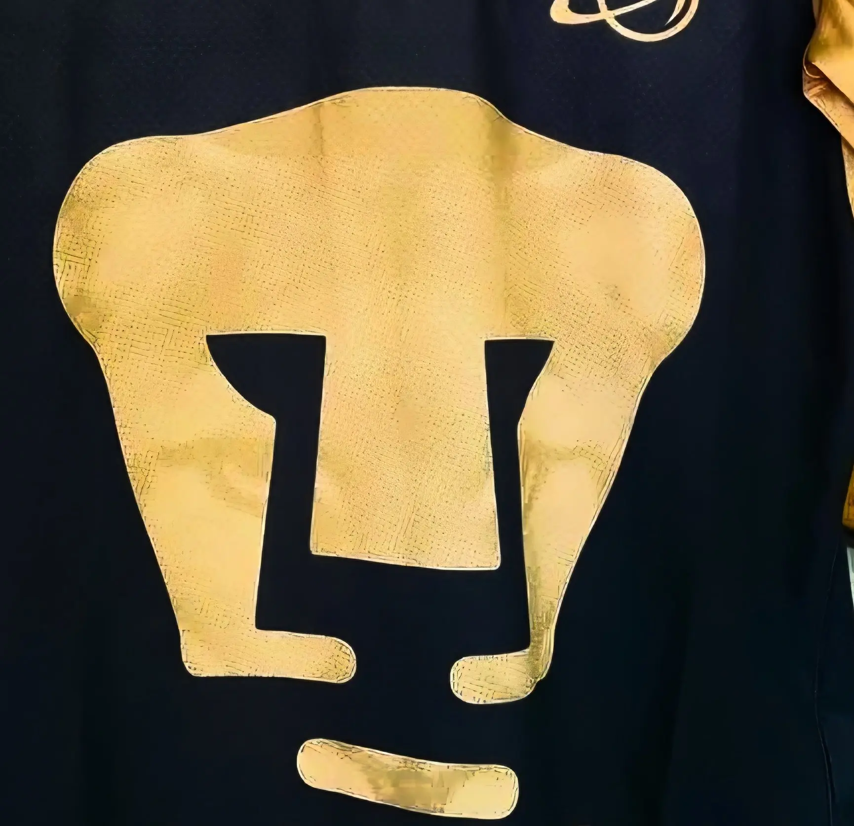 Una silueta de un puma se asoma en el escudo