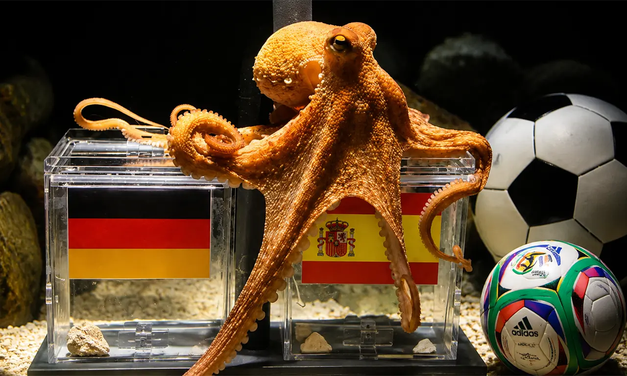 ¿Te acuerdas del Pulpo Paul? El oráculo más famoso de los Mundiales 