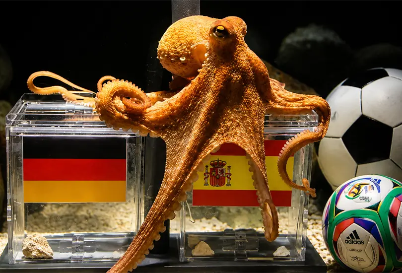 &iquest;Te acuerdas del Pulpo Paul? El or&aacute;culo m&aacute;s famoso de los Mundiales