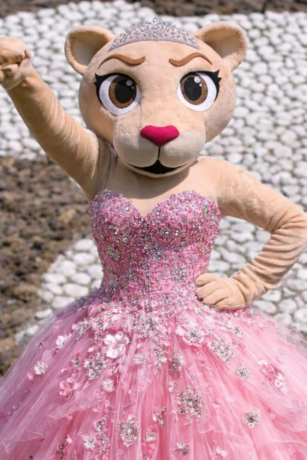 Los Pumas son quinceañeros Los Pumas son quinceañeros
