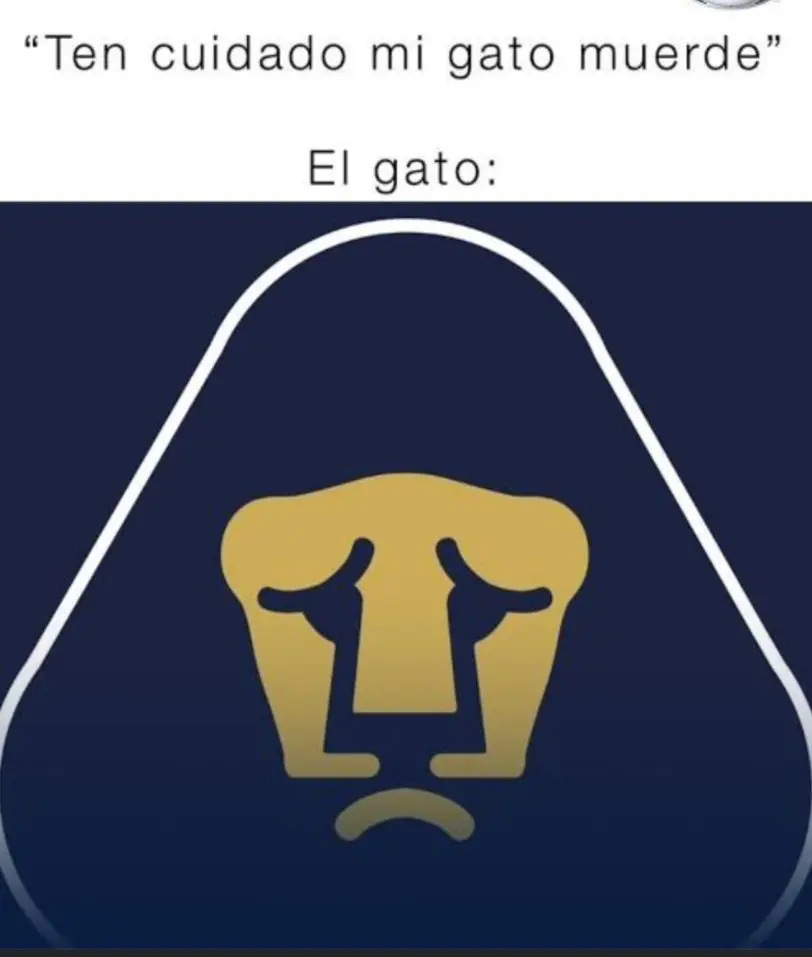 Gatito inofensivo Gatito inofensivo