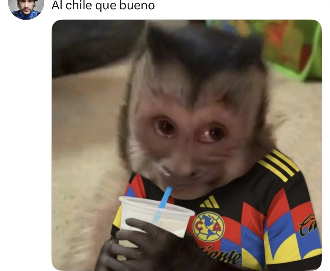 La afición del América también está cleebrando La afición del América también está cleebrando