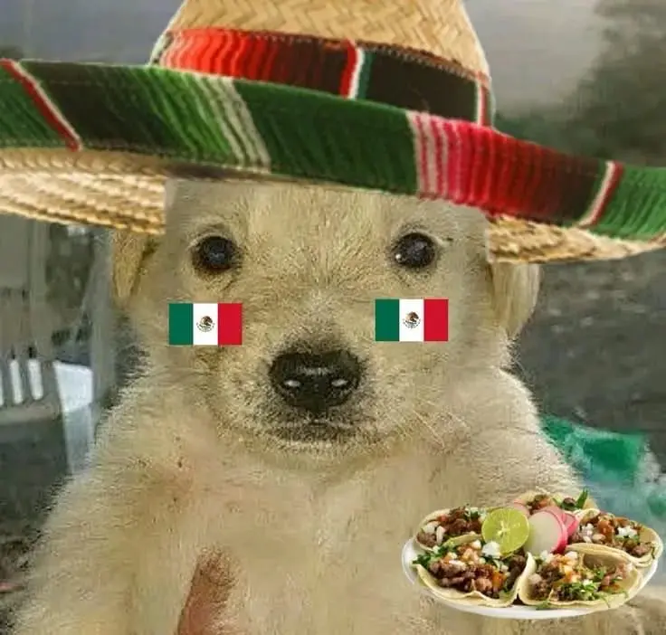 Somos mexicanos ilusionados.