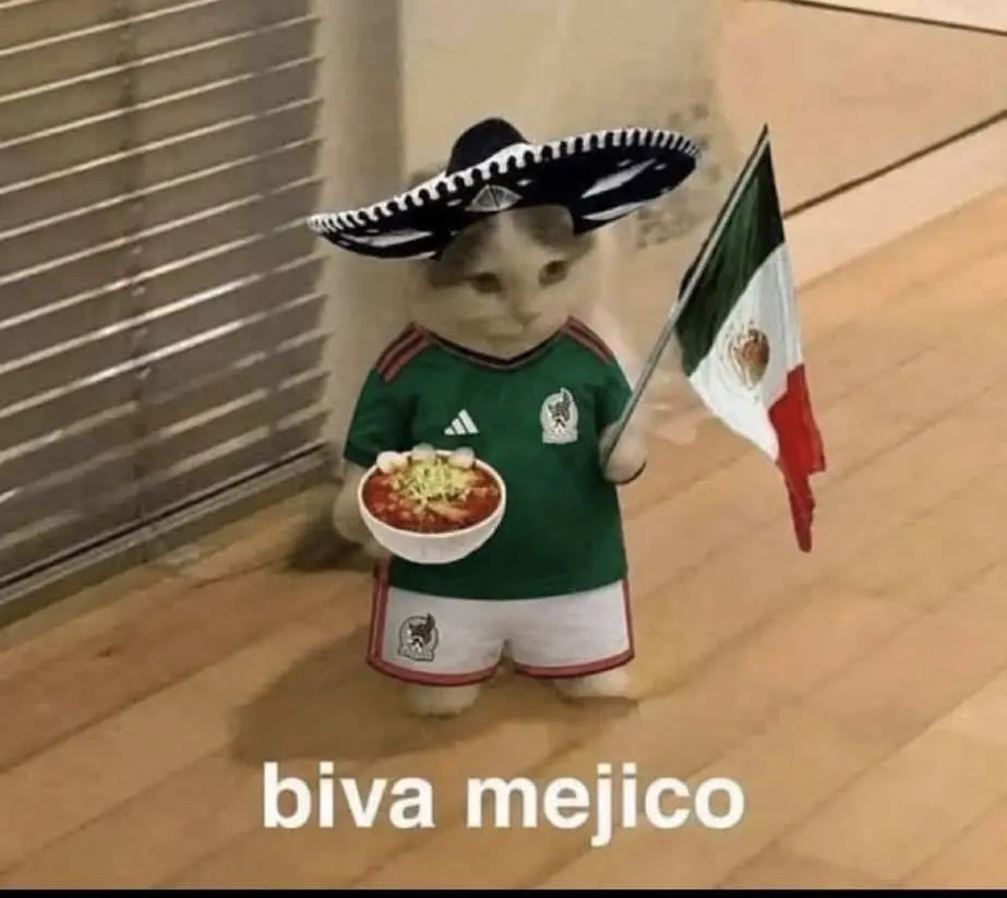 Viva M&eacute;xico, muchos as&iacute; con el Mundial