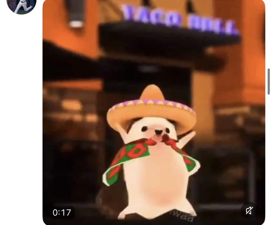 Y b&aacute;ilele mi M&eacute;xico 