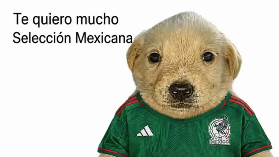 Hay quienes s&iacute; quieren a la Selecci&oacute;n Me