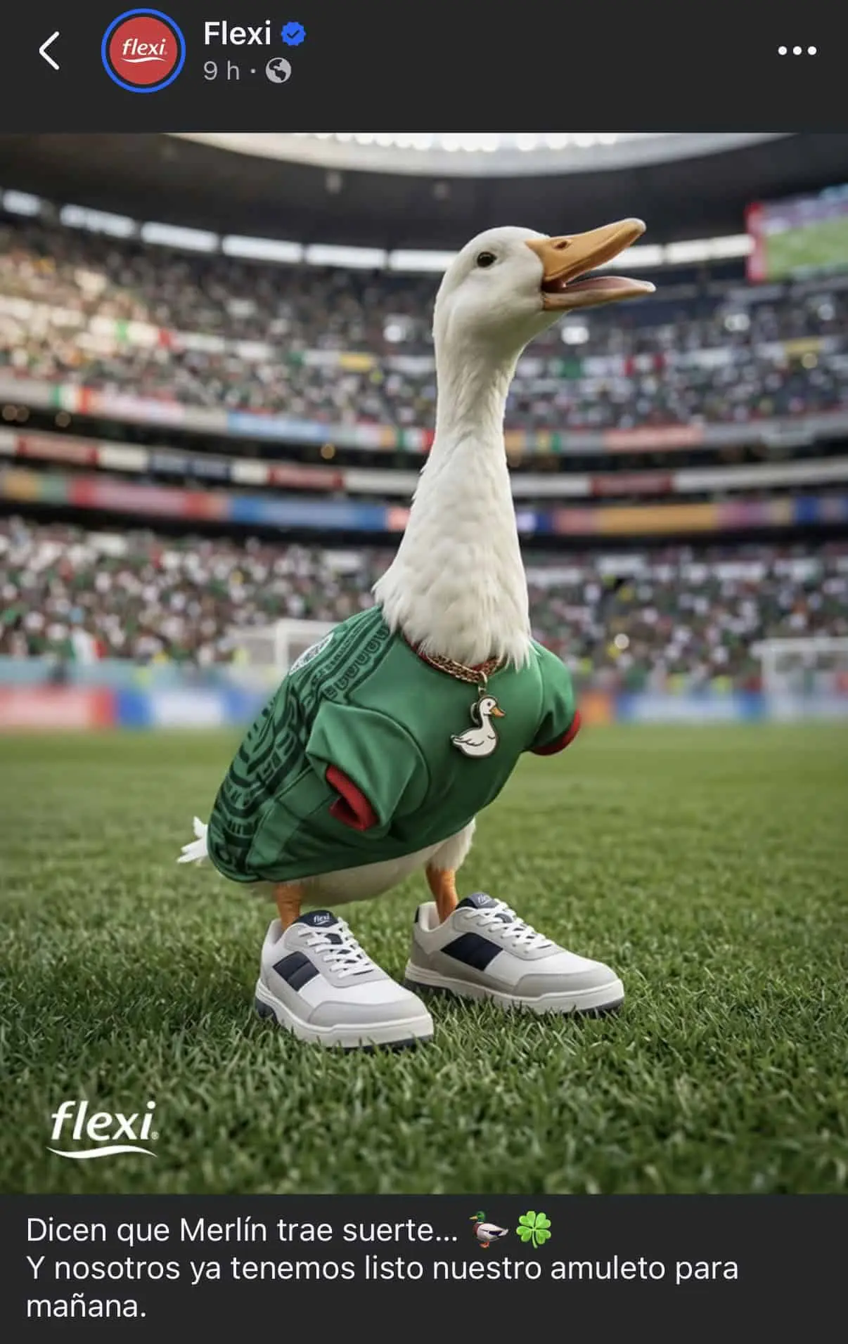 La imagen del Pato Merlín en la Publicidad de Flexi La imagen del Pato Merlín en la Publicidad de Flexi