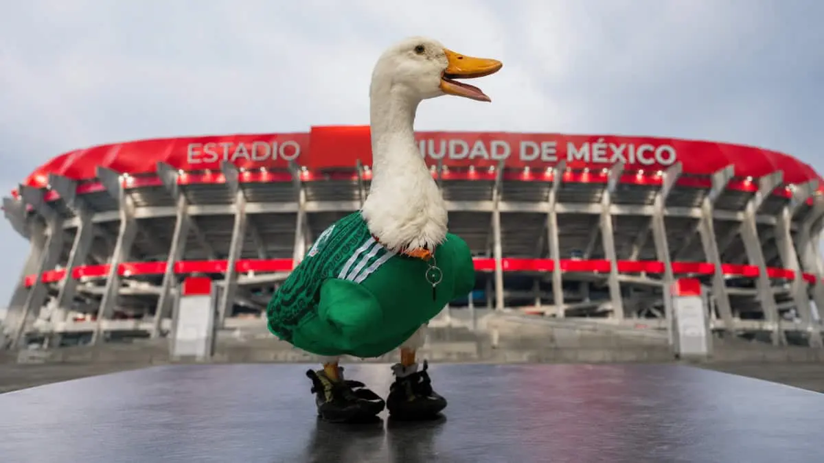  El Pato Merlín recibió una buena tras volverse viral 