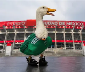 Pato Merl&iacute;n recibi&oacute; la mejor de las noticias previo al M&eacute;xico vs Chequia