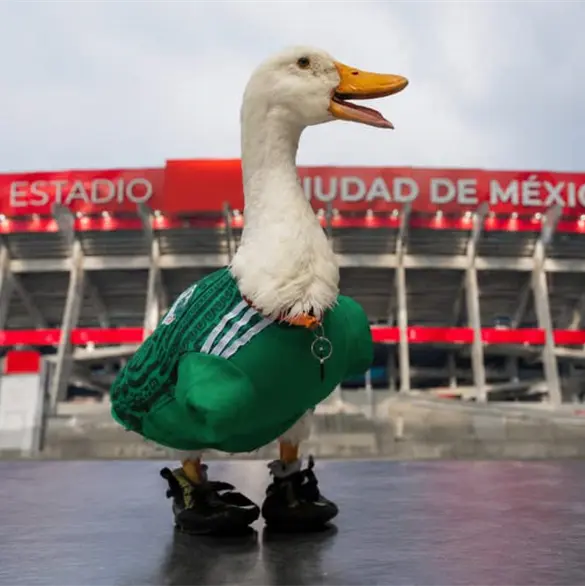 Pato Merl&iacute;n recibi&oacute; la mejor de las noticias previo al M&eacute;xico vs Chequia