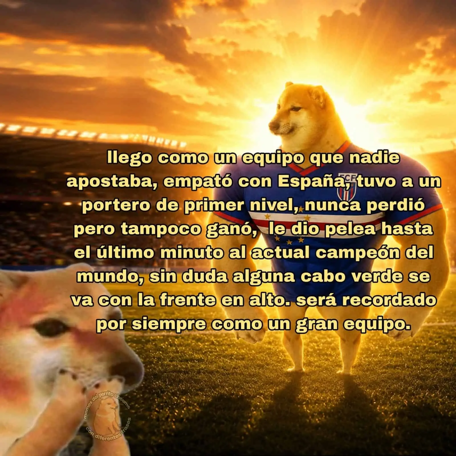 Doge se despide con orgullo y luz de héroe. Doge se despide con orgullo y luz de héroe.