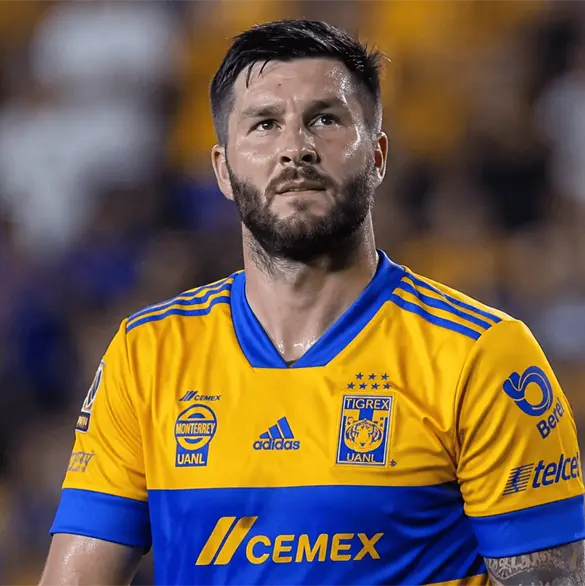 ¿De vuelta al juego? La posibilidad de que Gignac regrese a la Liga MX ¿De vuelta al juego? La posibilidad de que Gignac regrese a la Liga MX