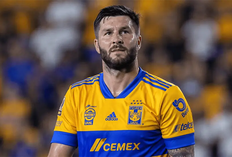 Gignac volvería a la actividad Gignac volvería a la actividad
